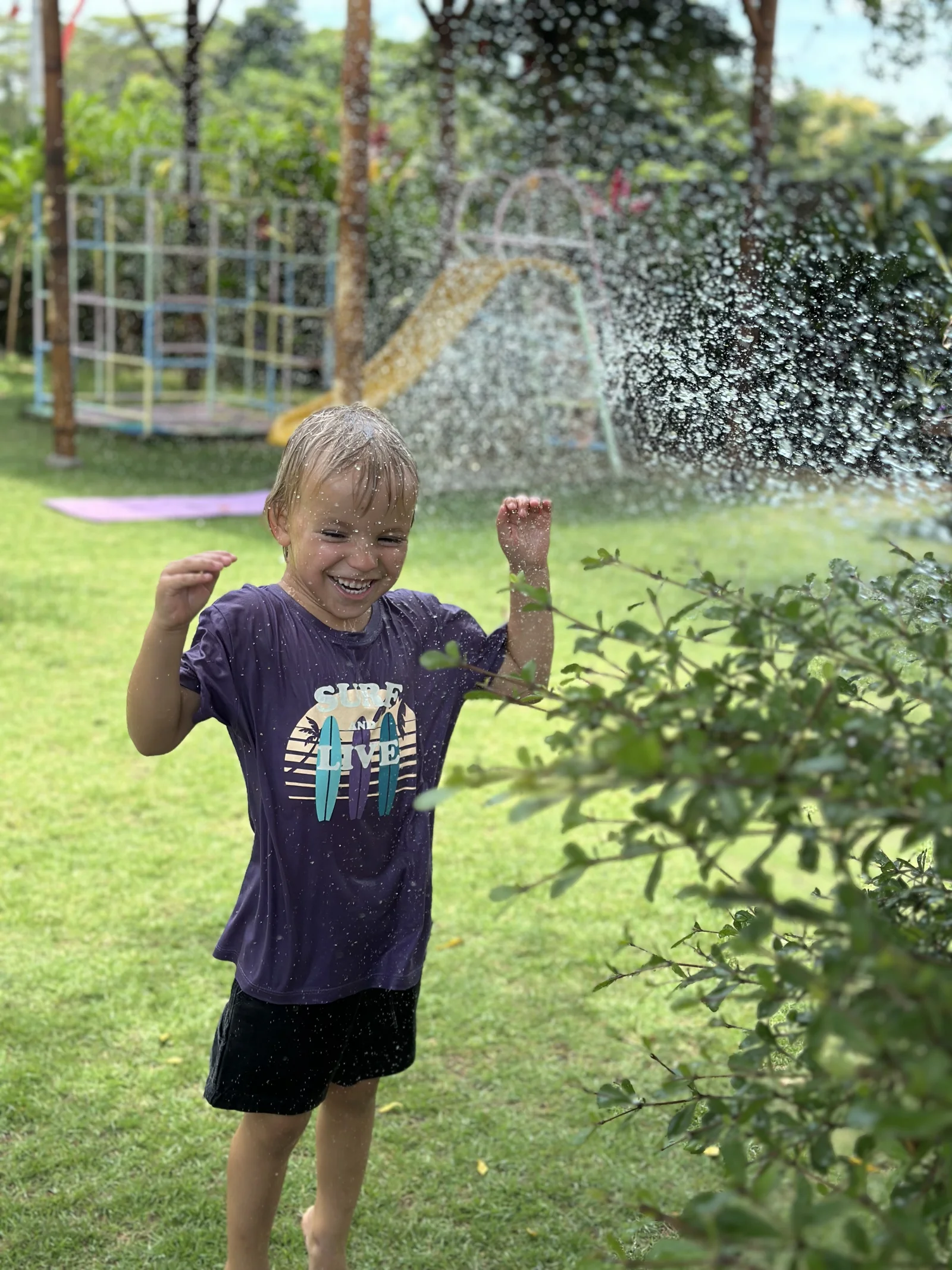 Sunny Kids Moment 87